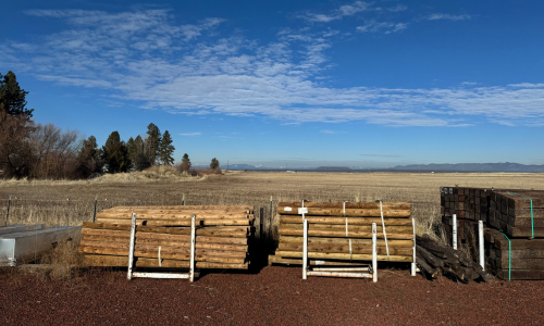 Farm fence posts