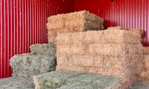 Stacked hay bales